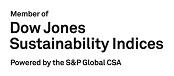 Dow Jones Sustainability Indexes