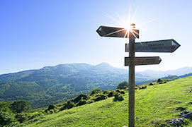 Our Philosophy & Purpose