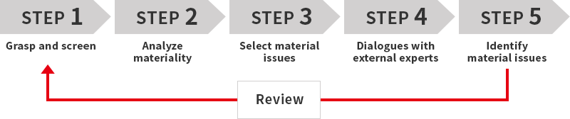 Process of identifying materiality