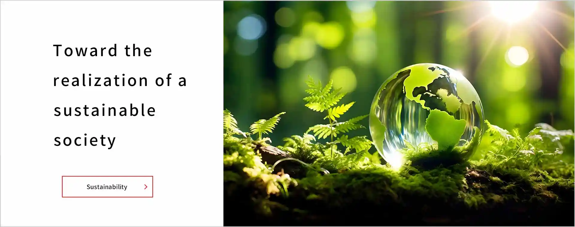 Toward the realization of a sustainable society. Link to sustainability